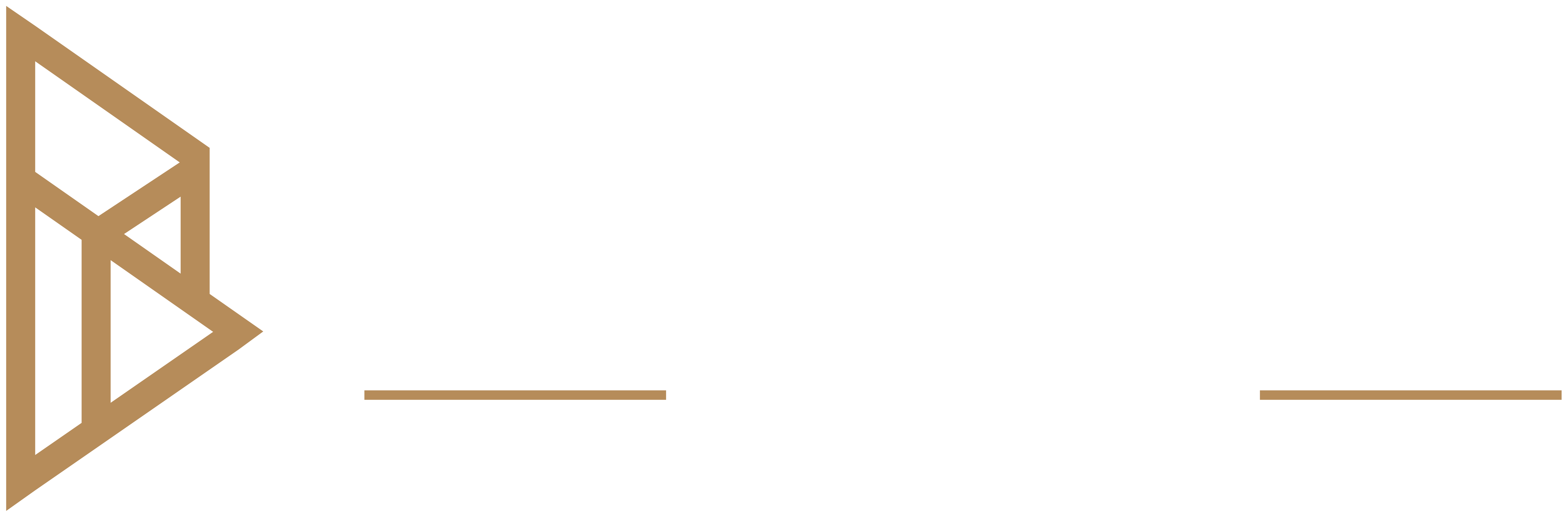 Basmayor Law